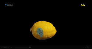 Lemon blemishes detection and classification